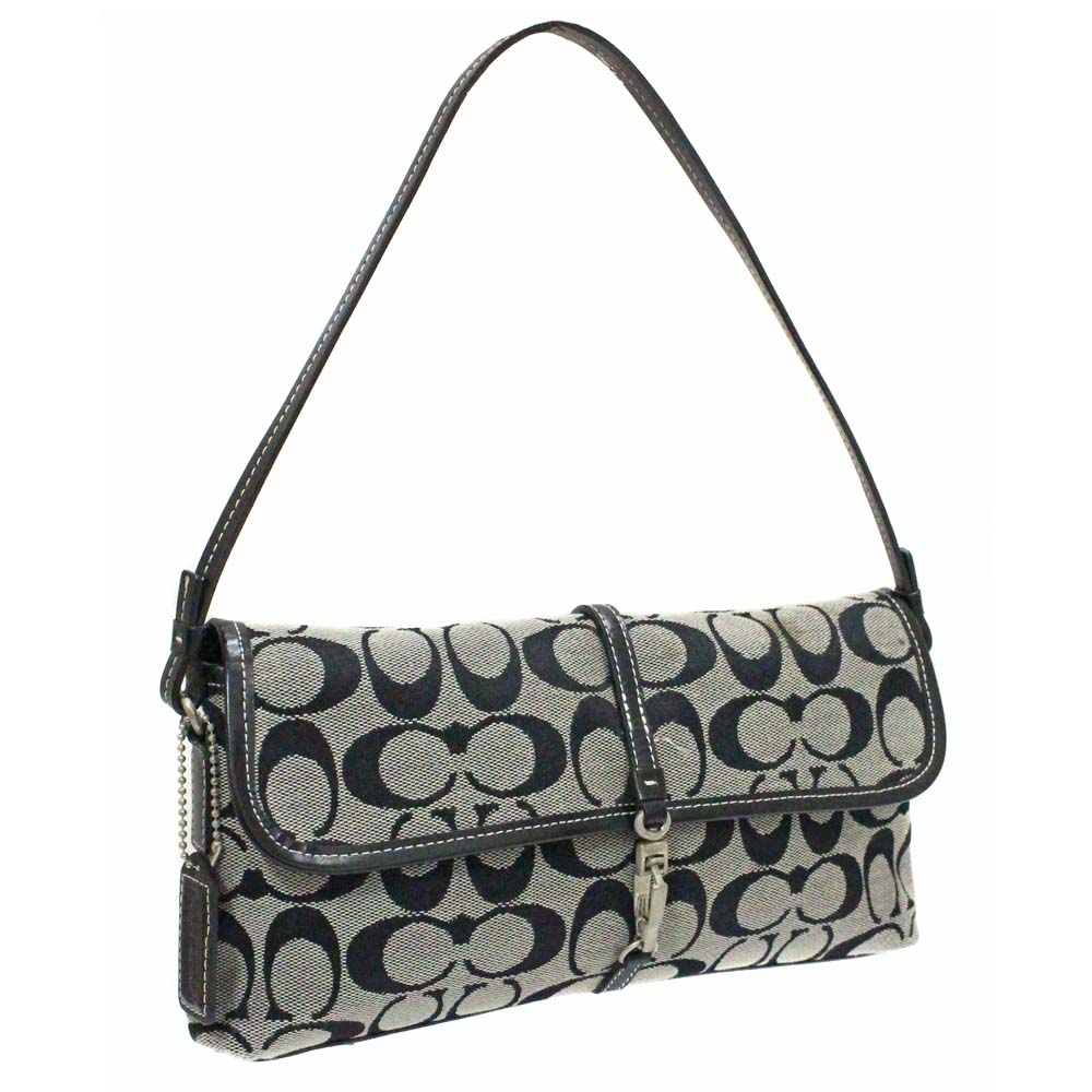coach demi bag