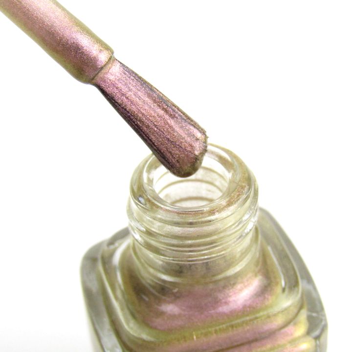 ディオール ヴェルニ バーズ オブ ア フェザー EARLY BIRD 812 若干