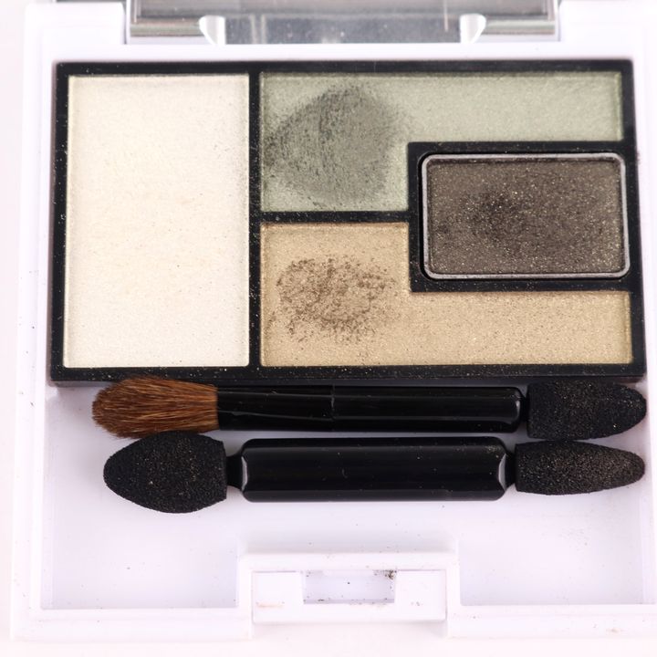 カネボウ アイシャドウ リサージ ニュアンスフィットアイズ GN-1