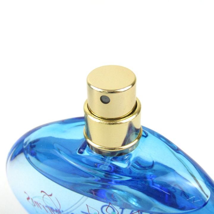 FERRAGAMO 香水 フェラガモ インカントチャーム 100ml 香水 レディース EDT