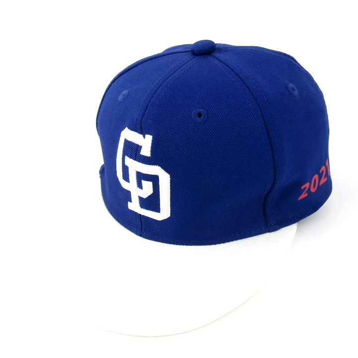 中日ドラゴンズ キャップ 野球 応援 グッズ 帽子 ジュニア キッズ