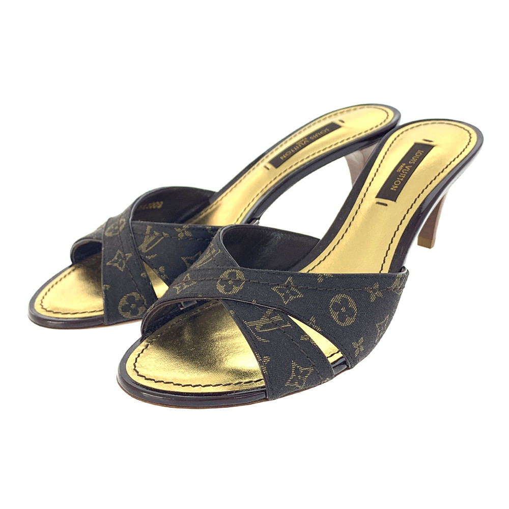 Sunseeker Flat Thong Sandal - Shoes