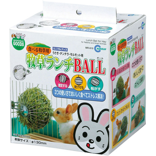 rabbit exercise toys