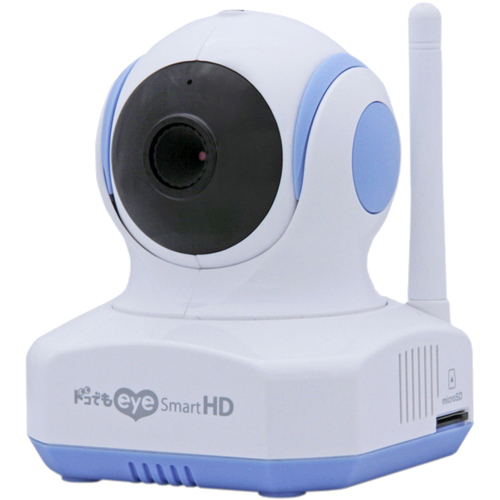 home camera for pets