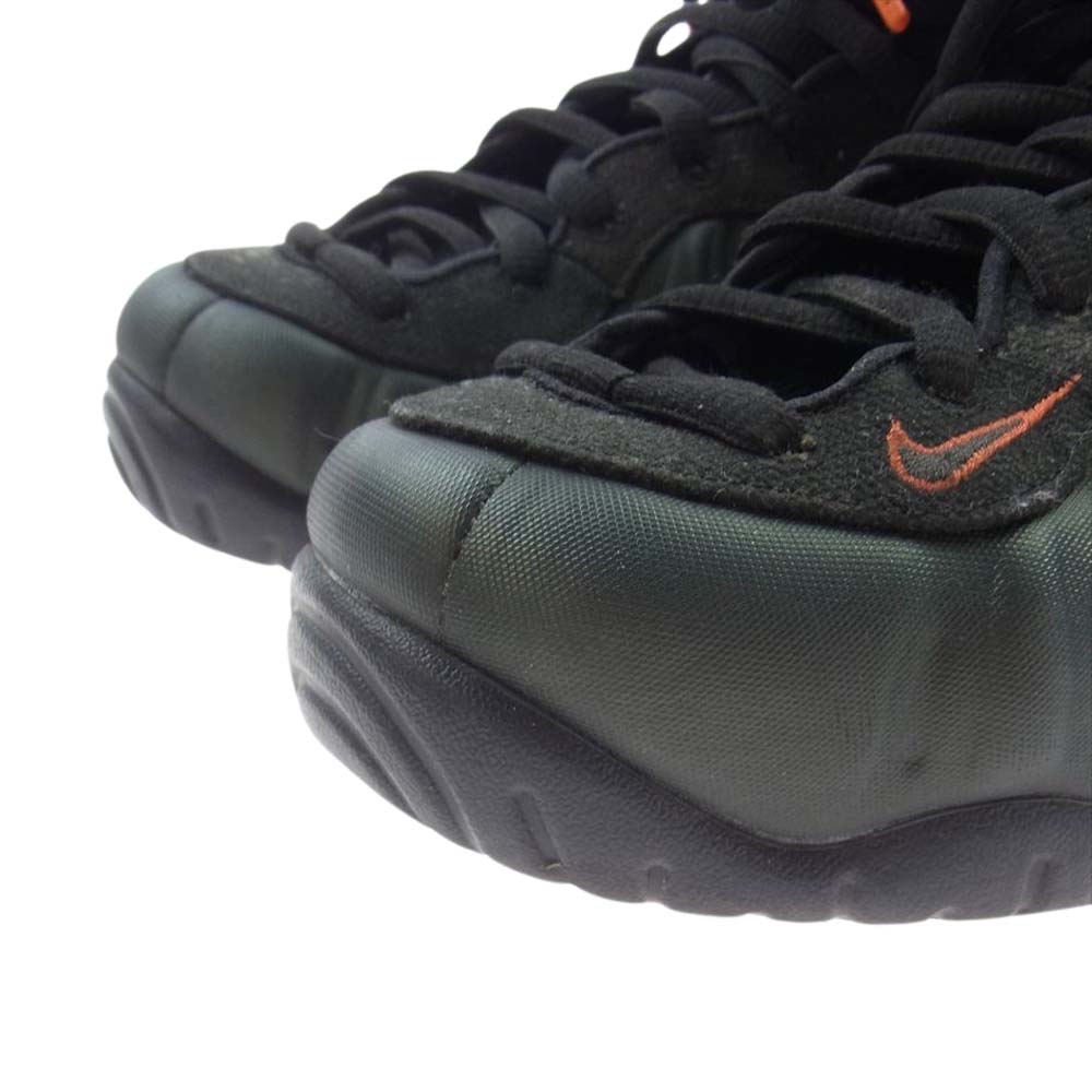 NIKE ナイキ スニーカー 624041-304 Air Foamposite Pro Sequoia エア